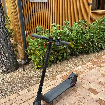 Mobile Tim